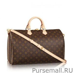 Delightful PM Monogram Canvas M40352