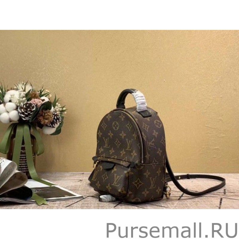 Mini Palm Springs Backpack M44873 - Image 2