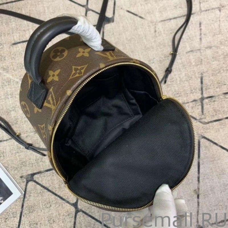 Mini Palm Springs Backpack M44873 - Image 3