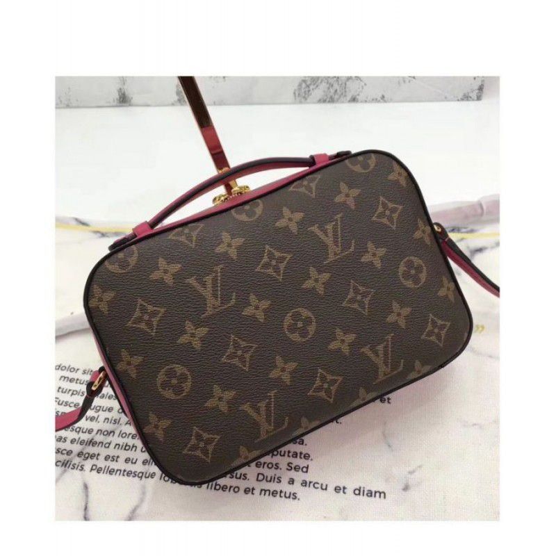 Saintonge Bag M43557 Red - Image 4