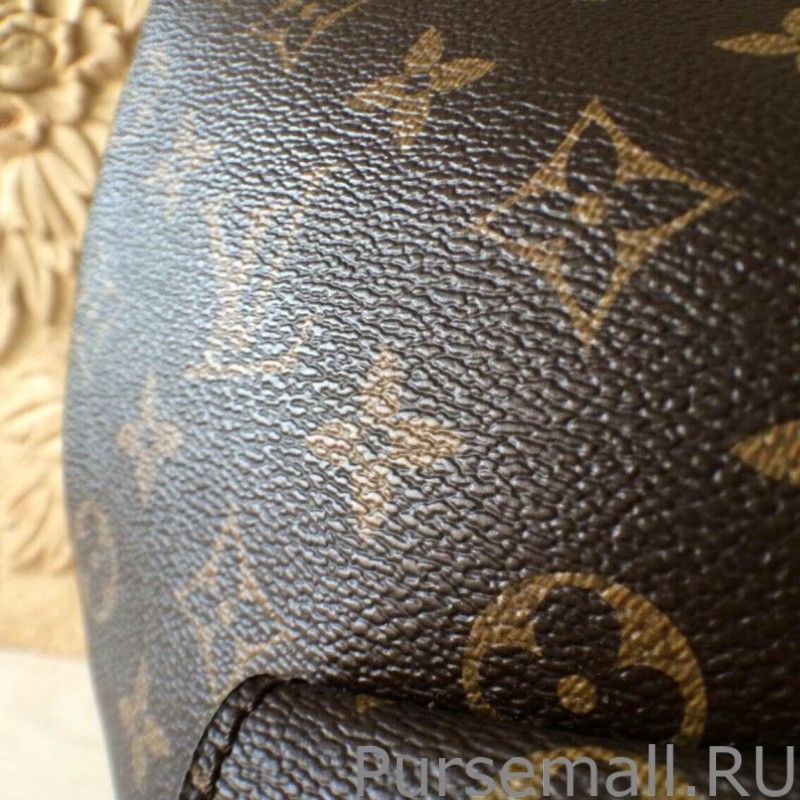 Metis Hobo Monogram Canvas Bag M40781 - Image 5