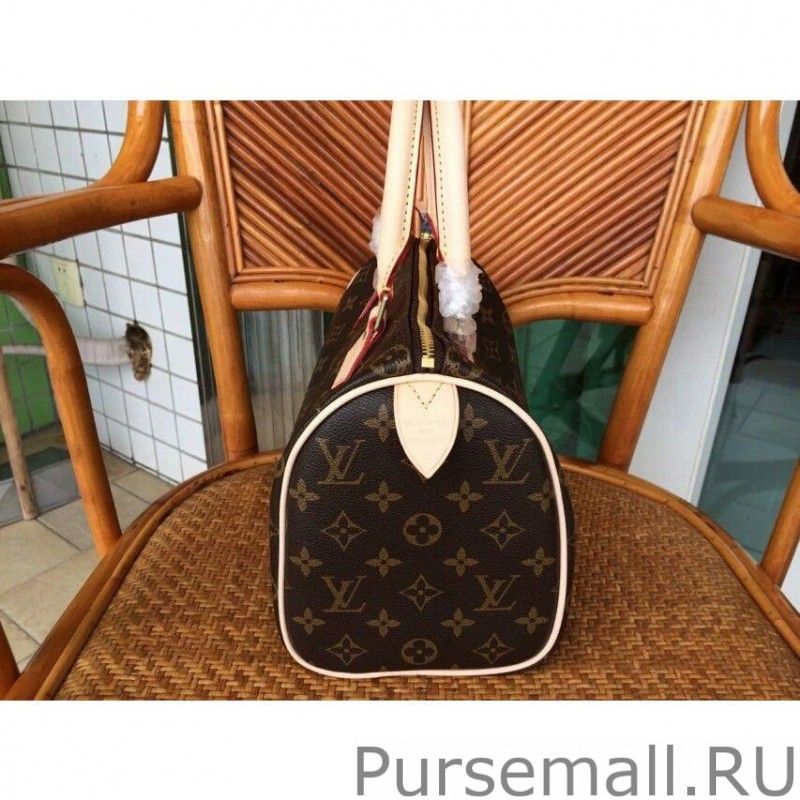 Speedy 25 Monogram Canvas M41528 - Image 5