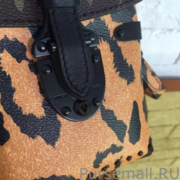 Camera Box Monogram Printed Bag M43001 - Image 6