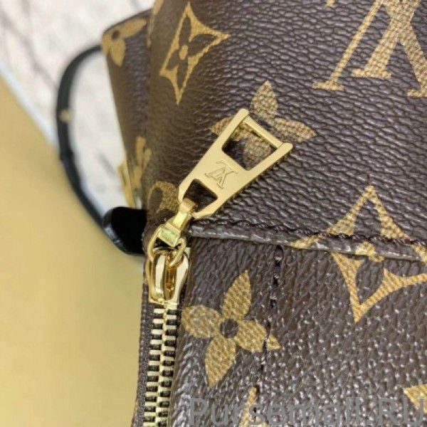 Mini Palm Springs Backpack M44873 - Image 6