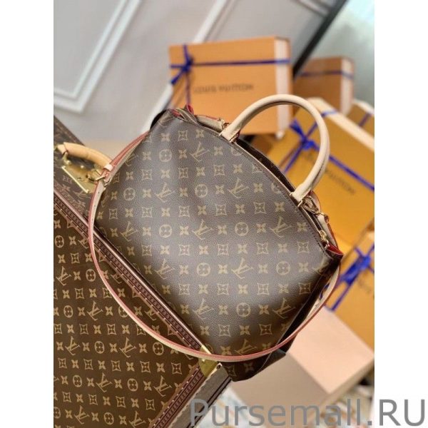 Grand Palais Bag Monogram Canvas M45898 - Image 6