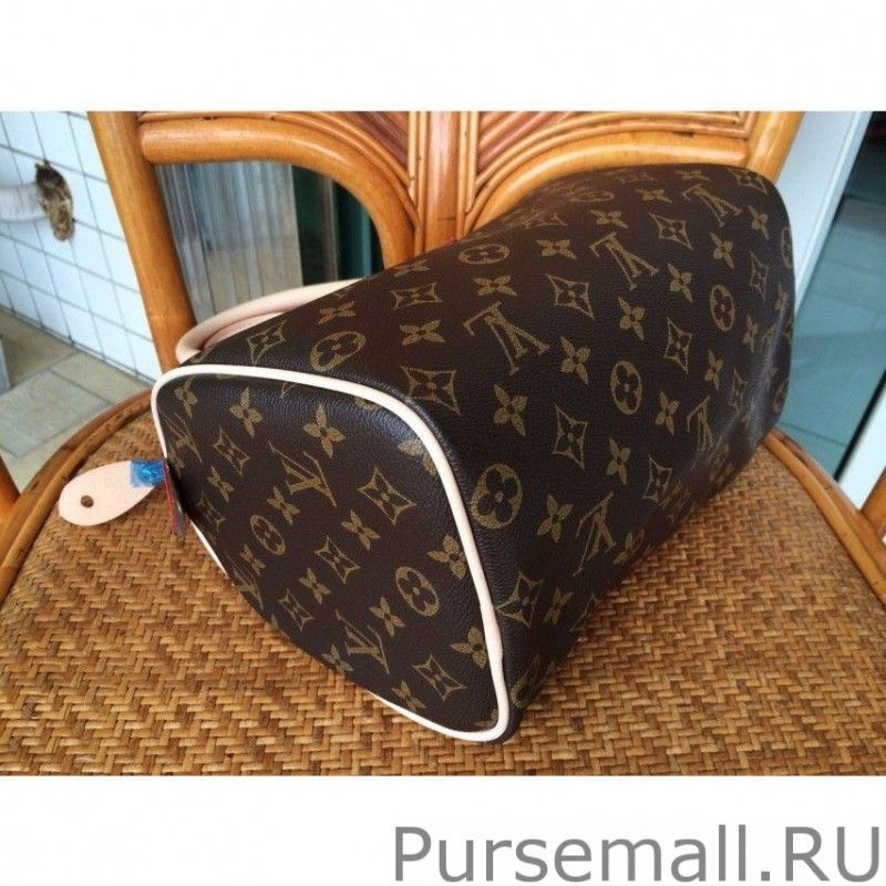 Speedy 25 Monogram Canvas M41528 - Image 7