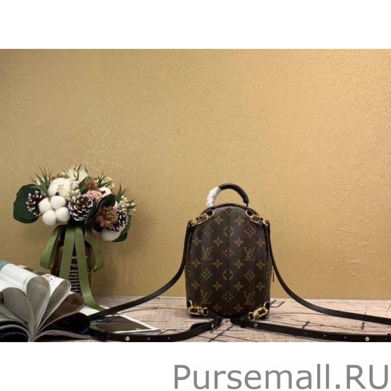 Mini Palm Springs Backpack M44873 - Image 9